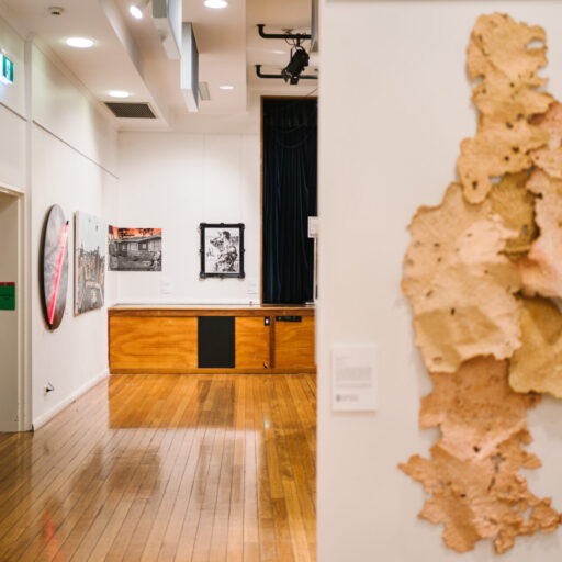 2021 Ravenswood Australian Women’s Art Prize